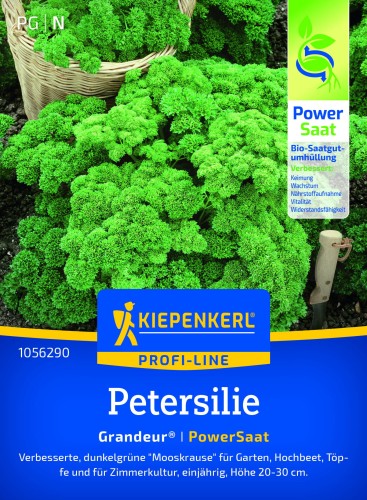 13909