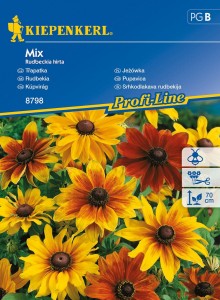 Rudbekia Owłosiona Jeżówka – Mix Nasion – Kiepenkerl