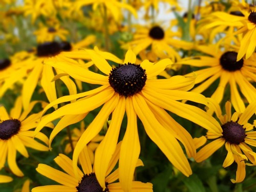 614d2559d56f82a7ebe3013c5f9bc7dc