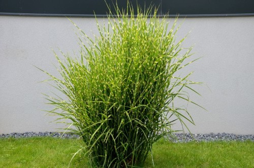 6a6187de559e61c9c7604cca963ce9c8