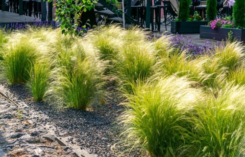 cec9200d88108bf039db5366ef2e27d6