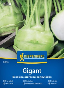 Kalarepa 'Gigant' – Na Późny Zbiór – Kiepenkerl