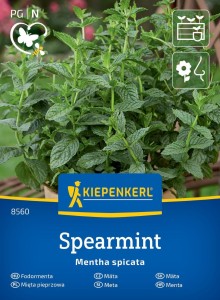 Mięta pieprzowa ,,Spearmint’’ - Kiepenkerl