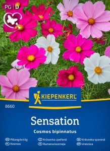Kosmos podwójnie pierzasty 'Sensations-Mix' - Nasiona - Kiepenkerl