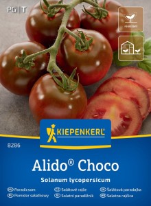 Pomidor Sałatkowy Alido Choco – Ciemny – Kiepenkerl