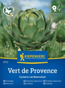Karczoch 'Vert de Provence' – Wieloletni – Kiepenkerl