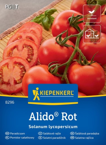 Pomidor sałatkowy Alido Rot przód.jpg