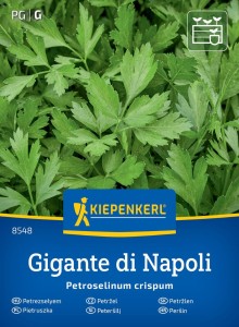 Pietruszka naciowa Gigante Di Napoli – Kiepenkerl
