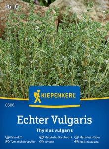 Tymianek pospolity Echter Vulgaris Kiepenkerl