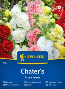 Malwa ogrodowa Chater's Mieszanka Kiepenkerl