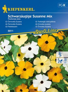 Tunbergia Oskrzydlona – Mix Nasion – Kiepenkerl