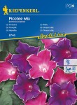Wilec 'Picotee' – Mix – Kiepenkerl