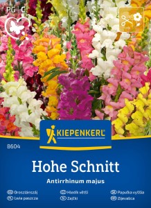 Lwia paszcza Hohe Schnitt – Kiepenkerl