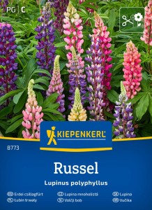 Łubin trwały – Mieszanka Nasion – Kiepenkerl