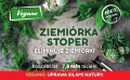Ziemiórka Stoper 7,5 mln przód.jpg