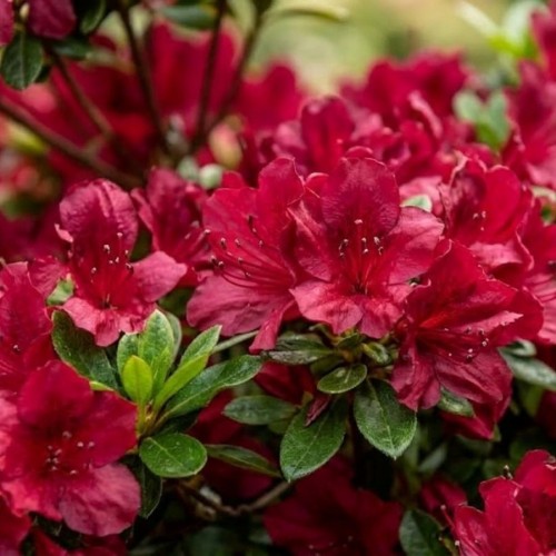 3883eedecb0dd157842ac97f7ebdb7fb