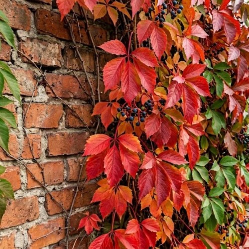 e43204d94570740cfc93de16b30c1059