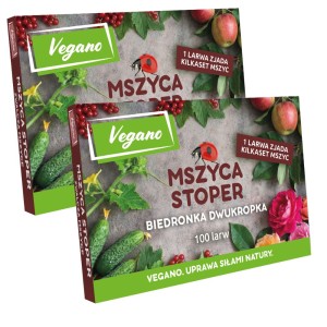 Mszyca Stoper - 200 larw biedronki