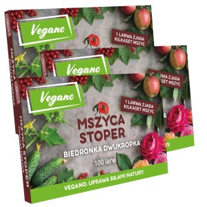 Mszyca Stoper - 300 larw biedronki