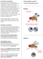 Drosinal pułapka - instrukcja stosowania (1)-2.png