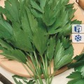 55e46d2ae39d080151a212ee08b9cfb9