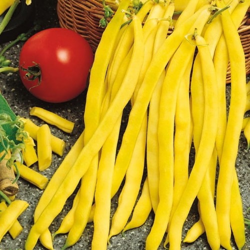 2e5fa6377687d121bf357137ad91908f