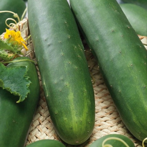 646ee221f38302bd5746acf3cc65eb1f