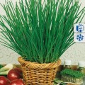 ce5dc39dbe2b5164023bbd88af88ff4c