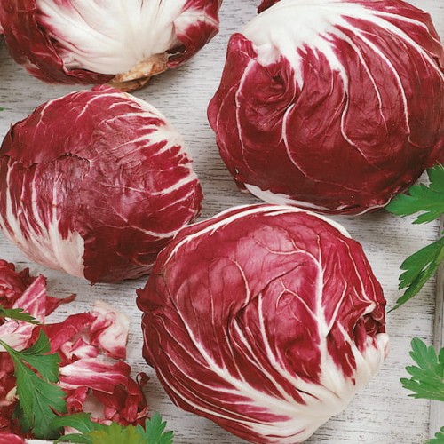 7d875ca5b4c69cc0a1c4f26967f5f4c6